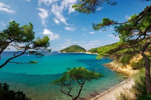 Elba1